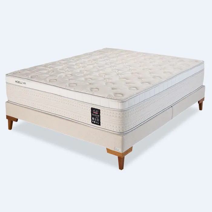 whatsapp image 2025 03 20 at 10.05.15 2